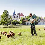 Schloss Und Gut Liebenberg