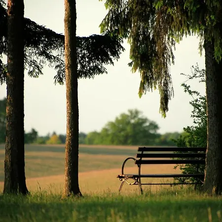 Schloss Und Gut 호텔 리에벤베르크
