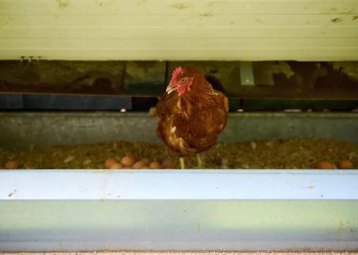 Schloss Und Gut فندق 4*