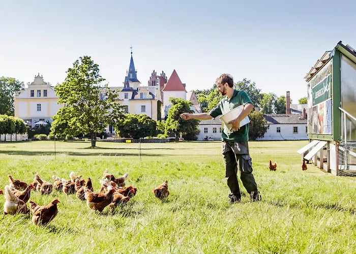 Schloss Und Gut Liebenberg